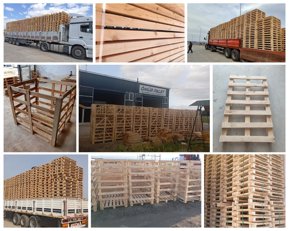 Elden Houten Kisten, Europallets Groothandel Kopen